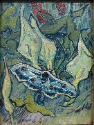 Vincent Van Gogh Butterflies oil